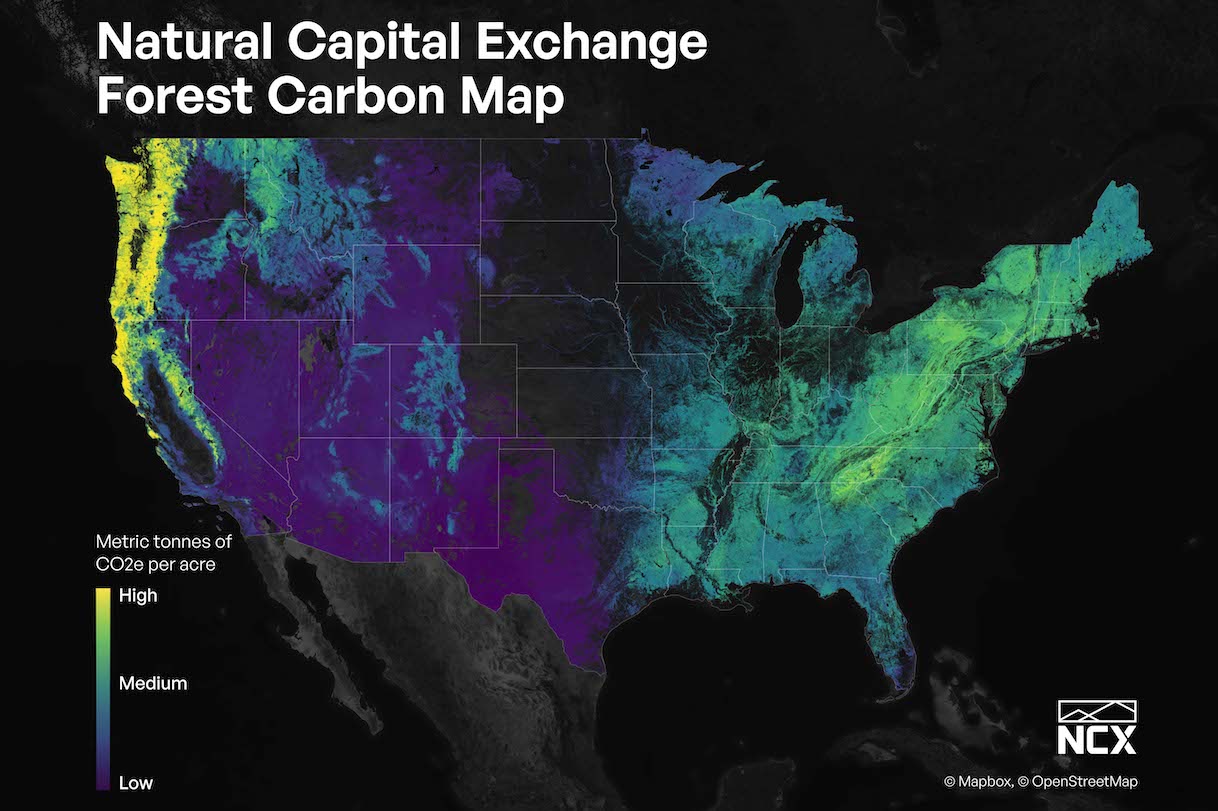 NCX Raises $50m to Fund International Expansion and New Natural Capital Markets