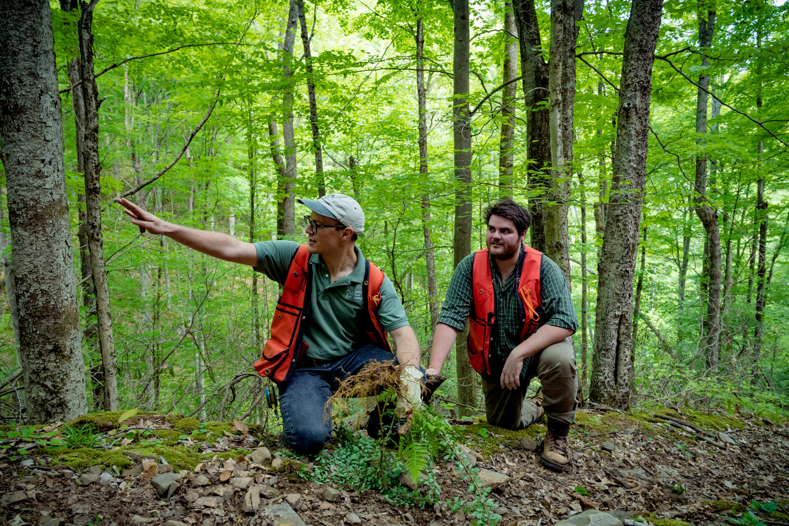 American Forest Foundation's Path to 100K Acres Enrolled