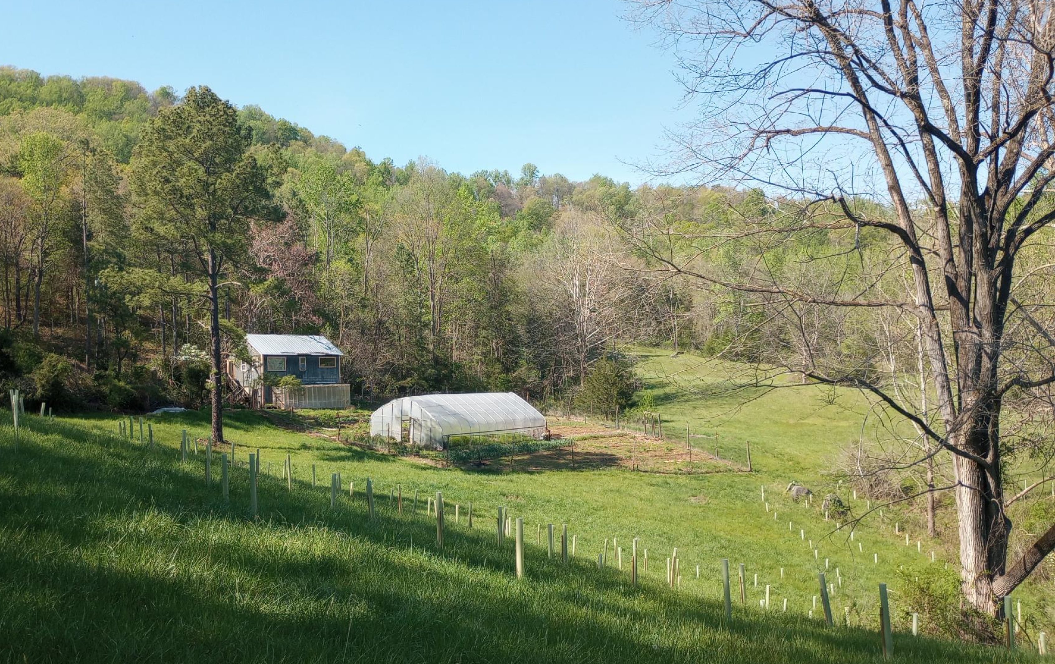 From City Life to Sustainable Farming: Jef Kahn''s Journey with NCX