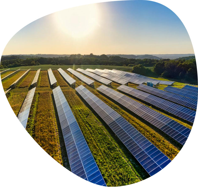 Solar panels installed on rural land