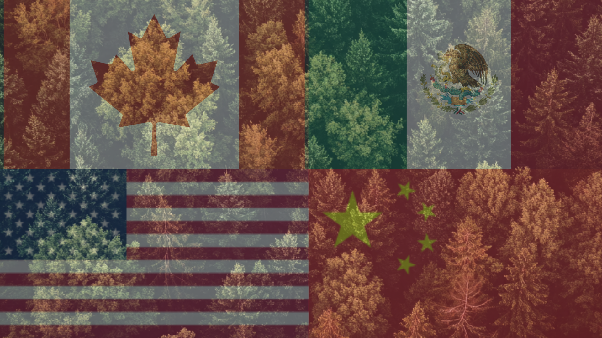 What Do Tariffs on Canada, Mexico, and China Mean for Forest Landowners?