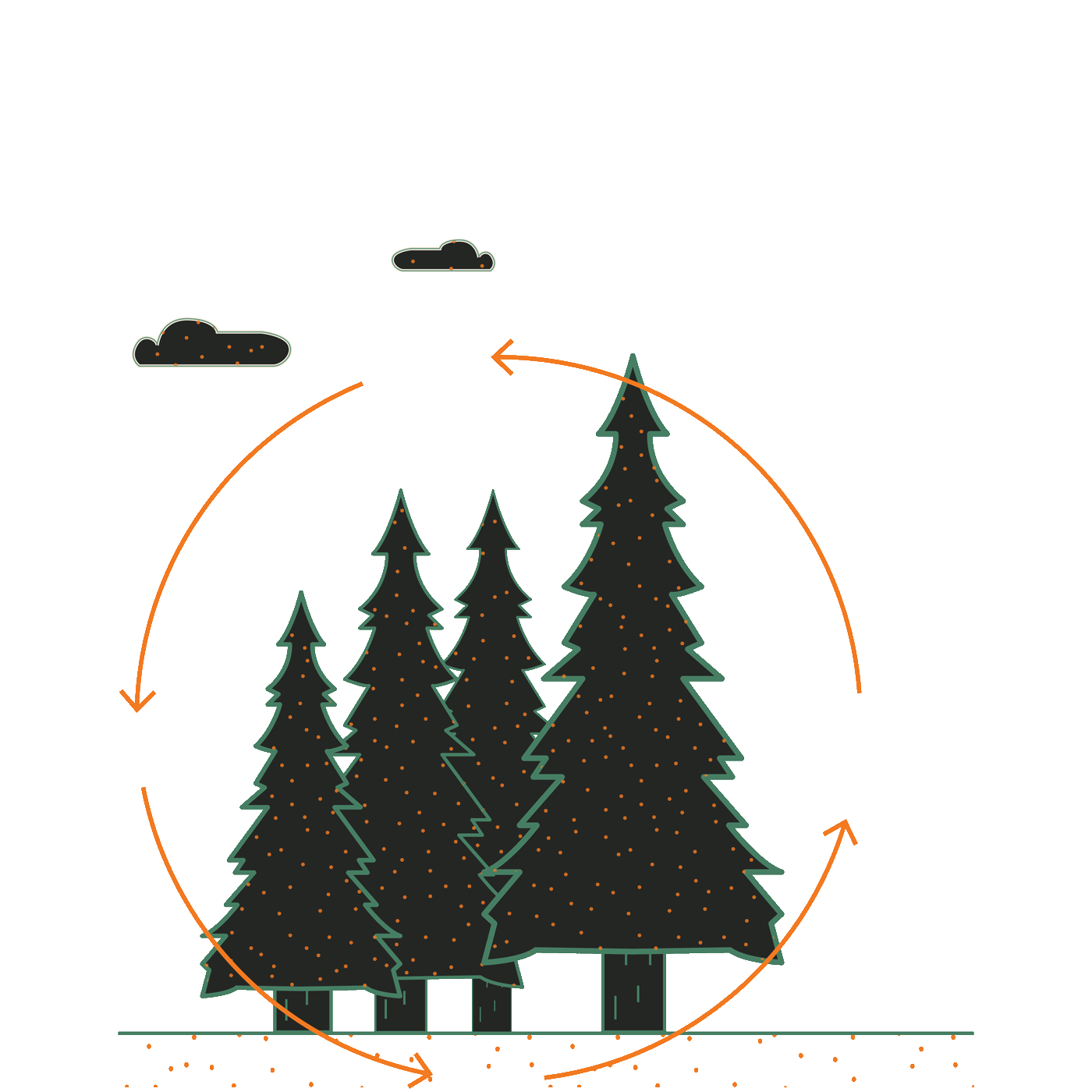 Carbon cycle diagram