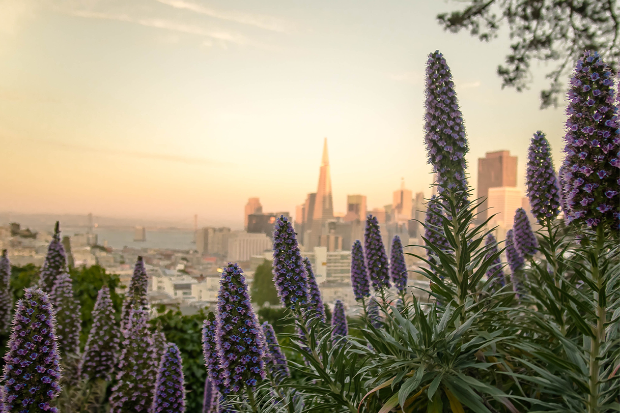 San Francisco skyline Carbon Market panel event image'