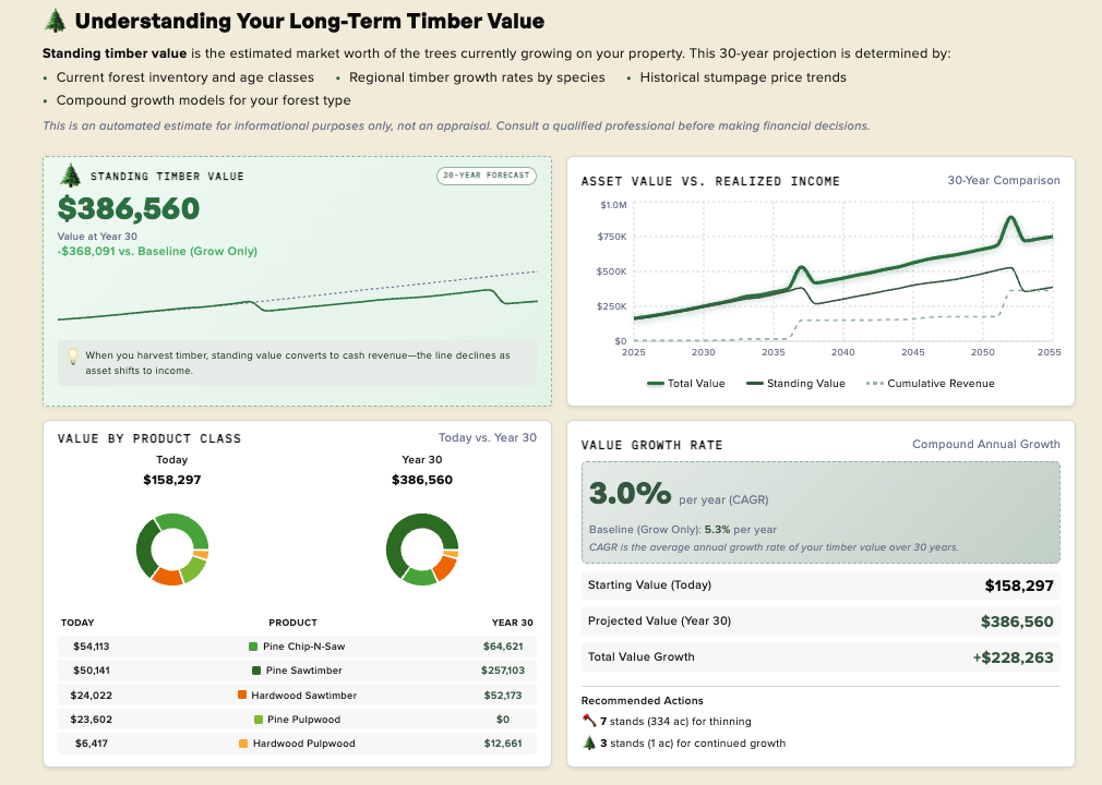 Long-Term Value page in Forest Forecast showing standing value projection, growth rate, and product composition