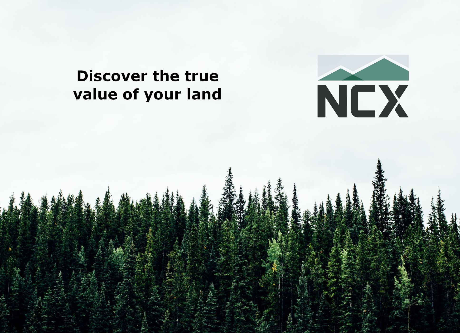 Your Guide to the Nature-Positive Economy