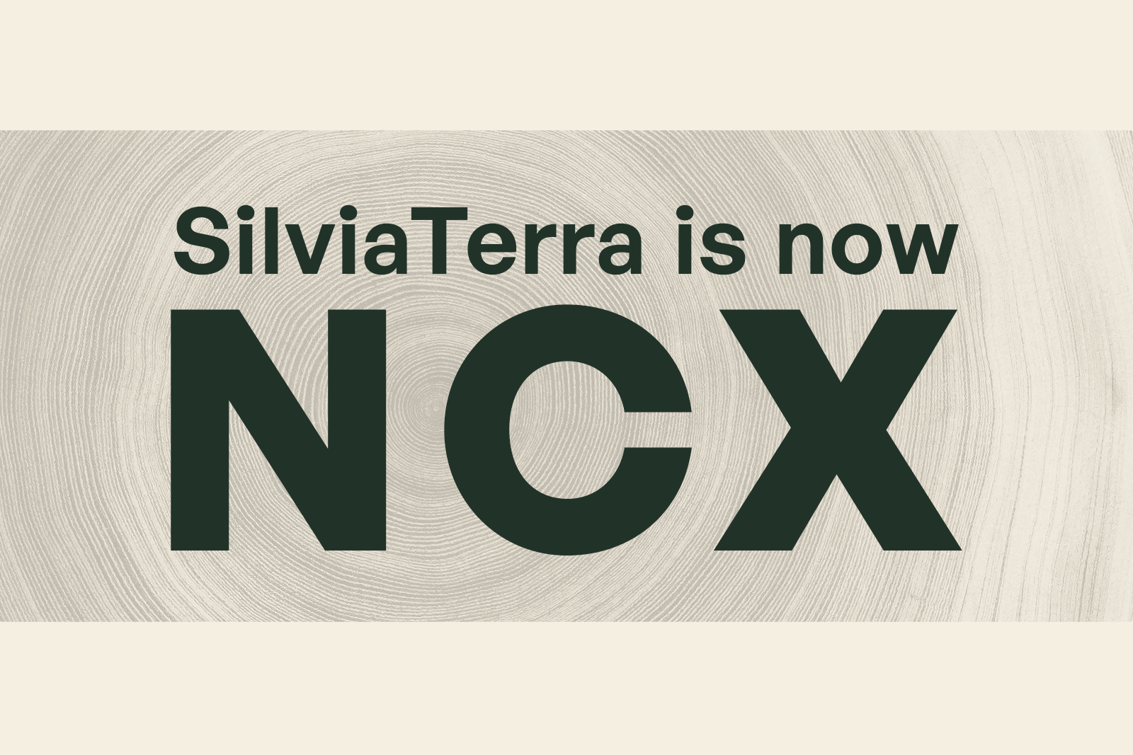 New Name, Same Dedicated Team