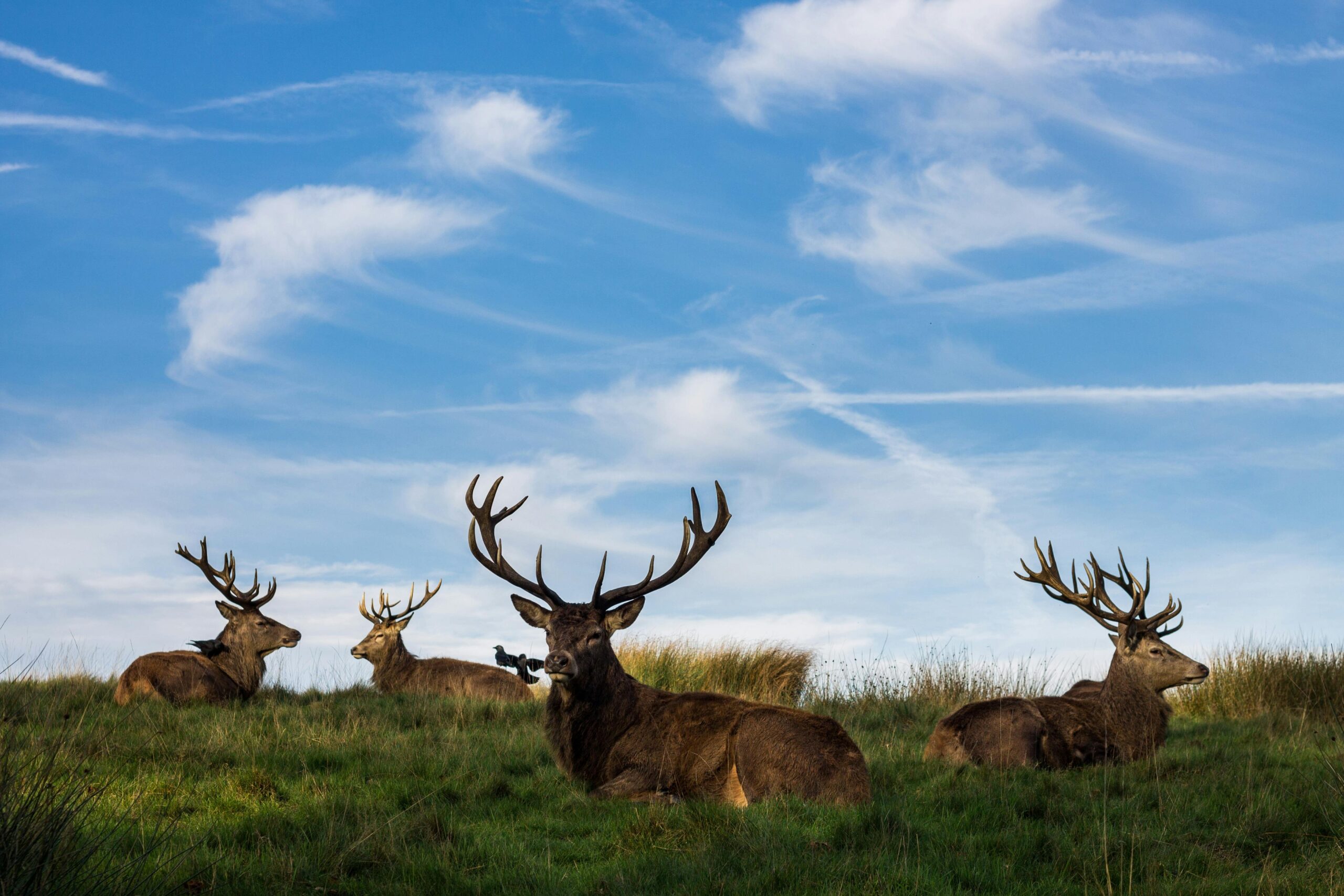 How Recreational Land Leasing is Transforming Property Income: A Modern Landowner's Guide