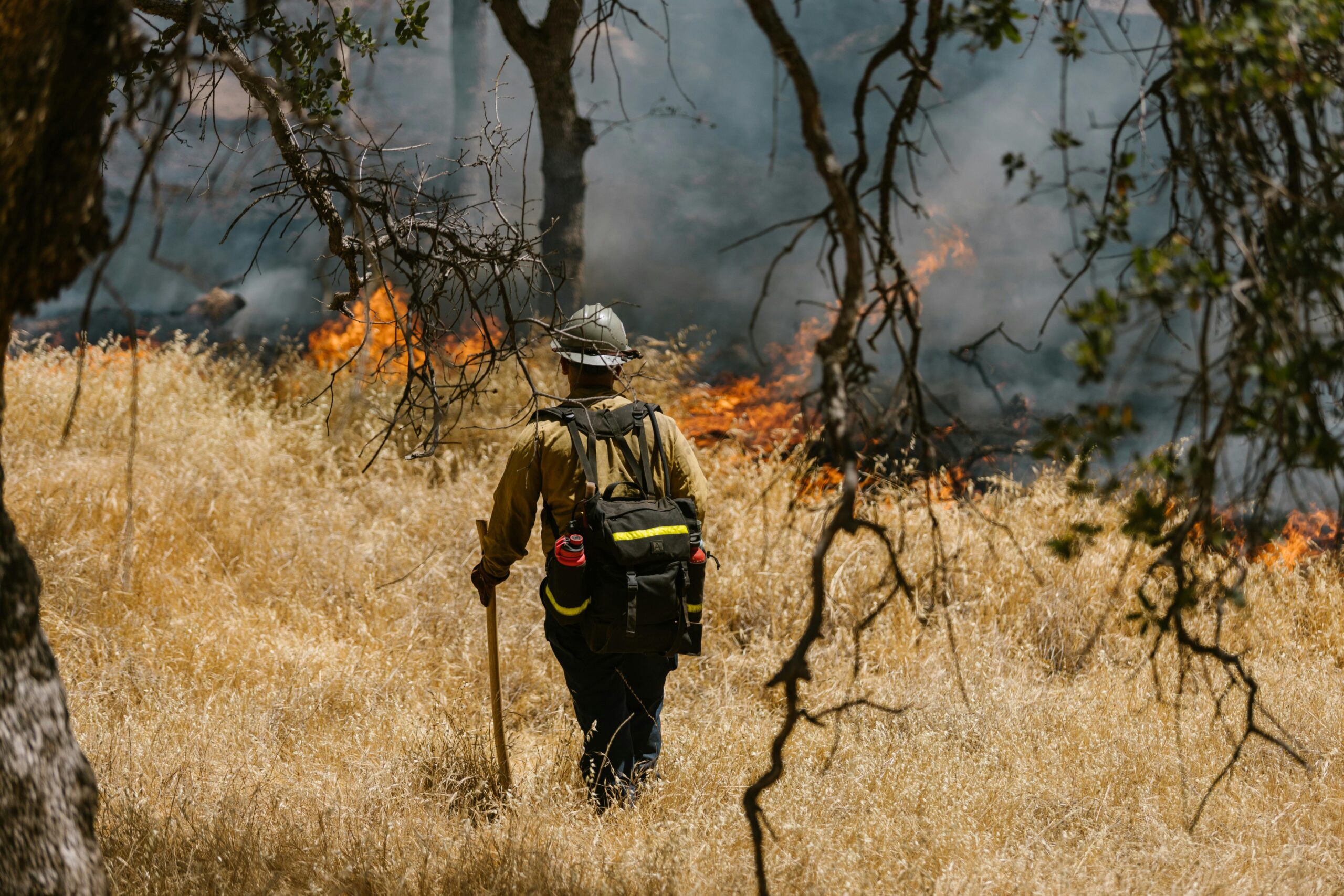 Firefighter walking towards controlled burn