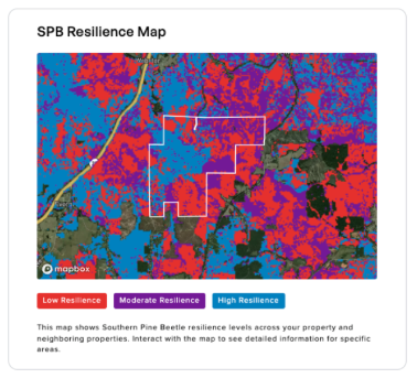 SPB resilience score categories